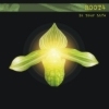 Root 4 – In Your Life